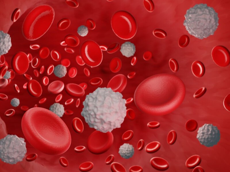Leukocytes What Is It Types And Norms What Do Leukocytes In Urine